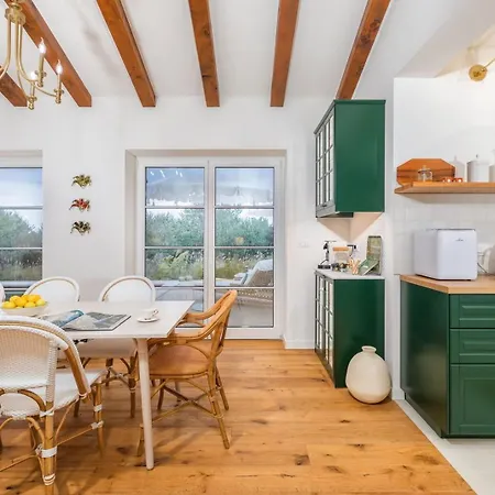 Villa Olive Paradise I Svetvincenat